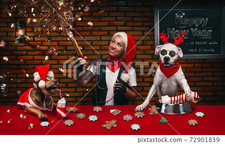 New Year's celebration of a woman and her dogs New Year's celebration of a woman and her dogs 72901839