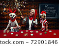 New Year's celebration of a woman and her dogs 72901846