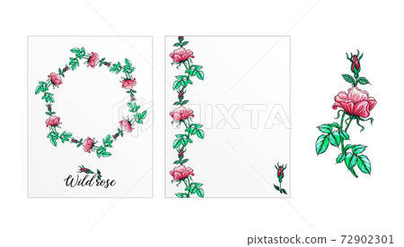 a set of postcards with rose flowers. Pink flowers. Rose. 72902301