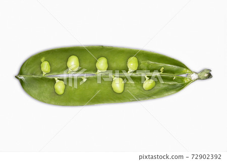Still life stock photography images Still life stock photography images 72902392