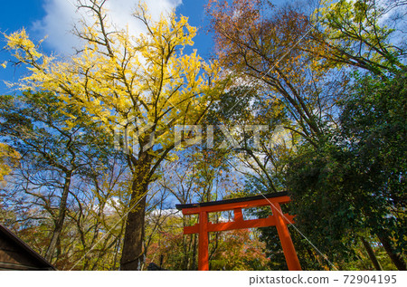 秋葉河合神社，下鴨神社，森之森 72904195