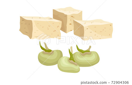 Tofu or Soy Cheese and Raw Soy Beans Vector Set 72904306
