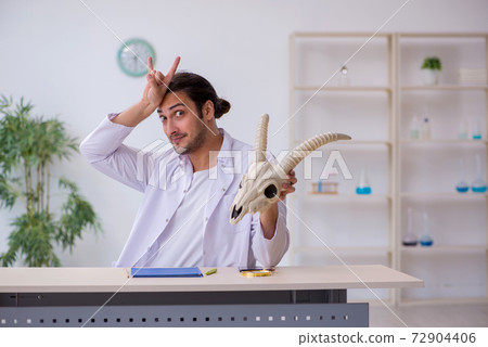 Young male paleontologist examining goat head at lab Young male paleontologist examining goat head at lab 72904406