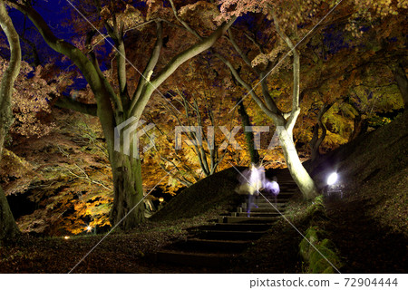 Autumn leaves at night Autumn leaves at night 72904444
