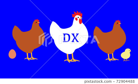畜牧業雞種DX(數字轉換)DX 畜牧業雞種DX(數字轉換)DX 72904488