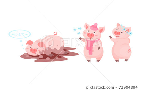 Funny Pink Pig Lying in Mud Puddle and Walking in Winter Vector Set 72904894