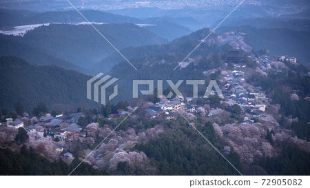 Nara Prefecture Yoshinoyama Hanayakura Observatory Sakura 72905082