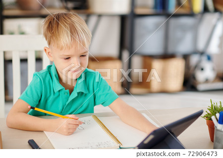 Schoolboy watching lesson online 72906473
