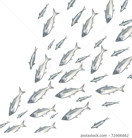 鯖魚成群的插圖 72906862