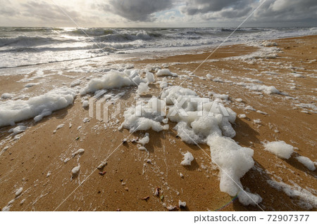 Windswept sea foam on a beach in the Atlantic Ocean Windswept sea foam on a beach in the Atlantic Ocean 72907377