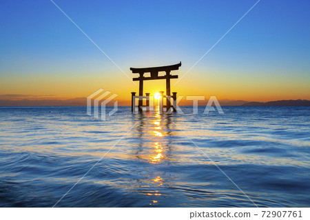 滋賀縣白rah神社 72907761