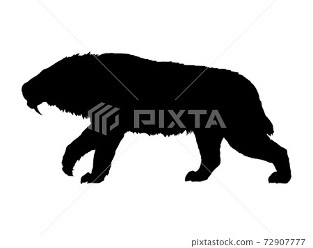 Smilodon _ silhouette 72907777