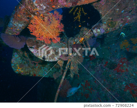 Screw part of a wreck lying on the seabed (Similan Islands, Kingdom of Thailand) Screw part of a wreck lying on the seabed (Similan Islands, Kingdom of Thailand) 72908224