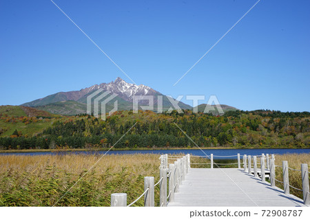 秋季大田裡沼澤利ish富士北海道利iri郡利iri富士町 72908787