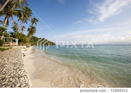 Still life photography images Still life photography images 72909352