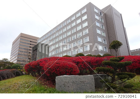 札幌地方法院札幌高等法院 72910041