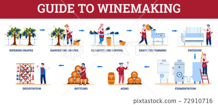 Infographic guide to winemaking with winemakers cartoon vector illustration. Infographic guide to winemaking with winemakers cartoon vector illustration. 72910716
