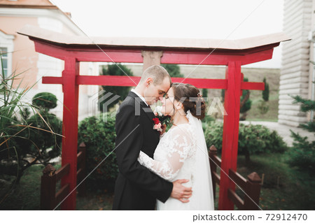 Amazing happy gentle stylish beautiful romantic caucasian couple on the background ancient baroque castle 72912470