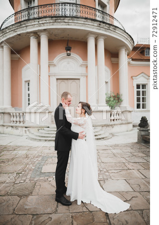 Beautiful romantic wedding couple of newlyweds hugging near old castle 72912471