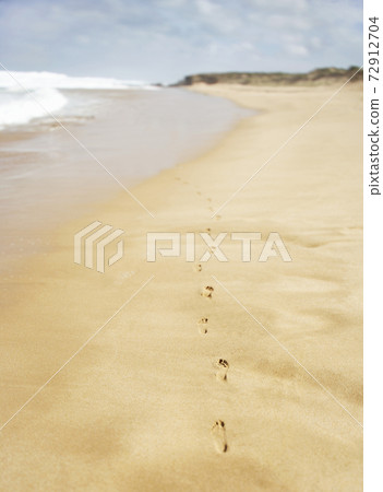 Still life stock photography images 72912704