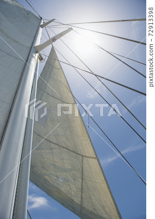 Still life photography images Still life photography images 72913398