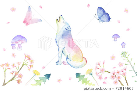 Watercolor set material of a colorful howling wolf and a spring frame 72914605