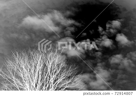 white and black wood opposite each other. computer processing with reversion and overlay. 72914807