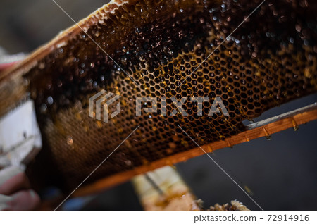 Hand using a scraper to clog honeycombs with honey in a frame. Beekeeper Unseal Honeycomb. Hand using a scraper to clog honeycombs with honey in a frame. Beekeeper Unseal Honeycomb. 72914916