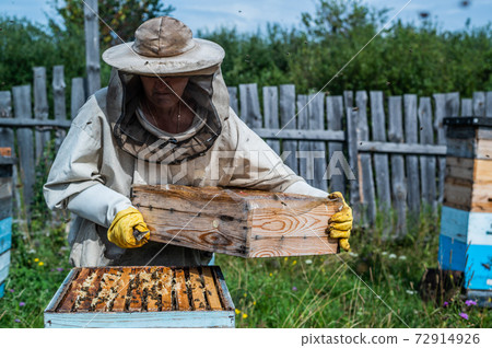 Beekeeper in protection suit inspecting his row of beehives at apiary with bees swarming around him 72914926