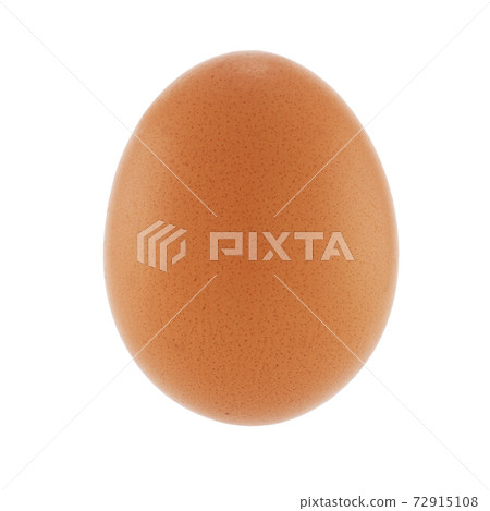 Brown chicken egg on white with clipping path 72915108