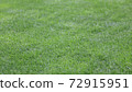 Western turf lawn 72915951