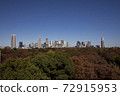 Nishi-Shinjuku High-rise Buildings 72915953