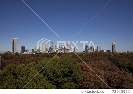Nishi-Shinjuku High-rise Buildings 72915953
