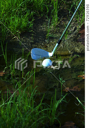 Still life photography images Still life photography images 72916398