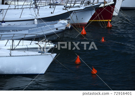 Still life photography images Still life photography images 72916401