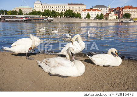 Stock photography images 72916478