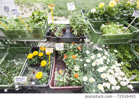 Stock photography images 72916483