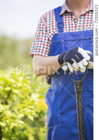 Still life photography images 72916523