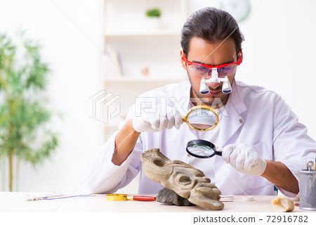 Young male archaeologist studying ancient african stonemask 72916782