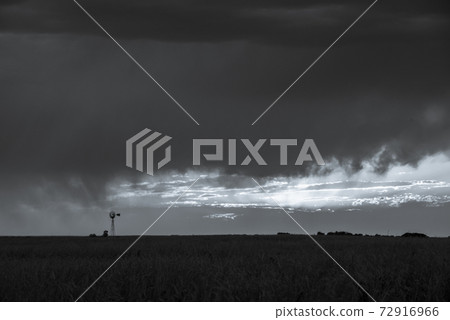 Pampas Landscape Pampas Landscape 72916966