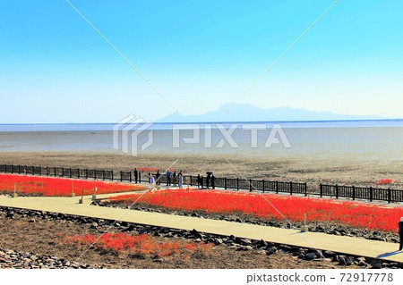 East Yoka Tidal Flat in Saga City 72917778
