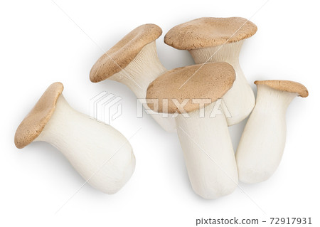 King Oyster mushroom or Eringi isolated on white background with clipping path. Top view. Flat lay 72917931