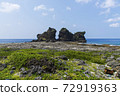 Lanyu 72919363
