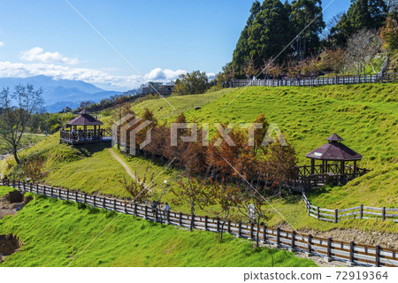 清境農場 清境農場 72919364