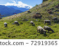 Cingjing Farm 72919365