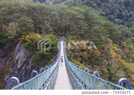 奧萬大 奧萬大 72919371