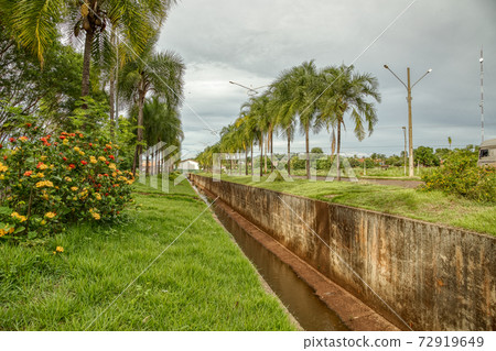 Palmito stream in the city of cassilandia 72919649