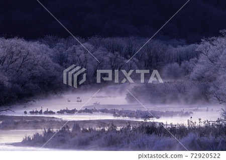 從仲冬的音羽橋看樹冰和密探 72920522