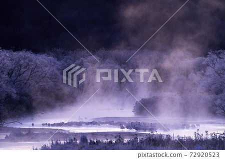 從仲冬的音羽橋看樹冰和密探 72920523