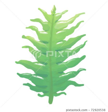 裙帶菜的厚塗風格插圖 72920538